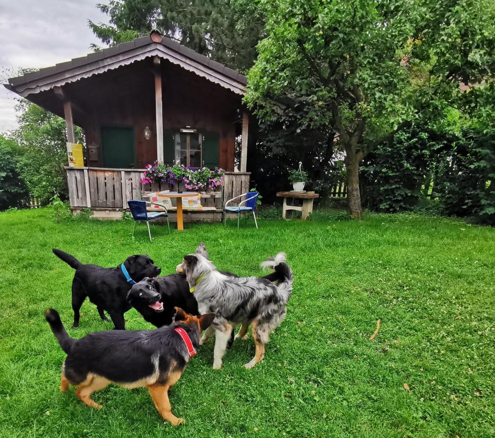 Schusterbauer Villa Koppl Екстериор снимка