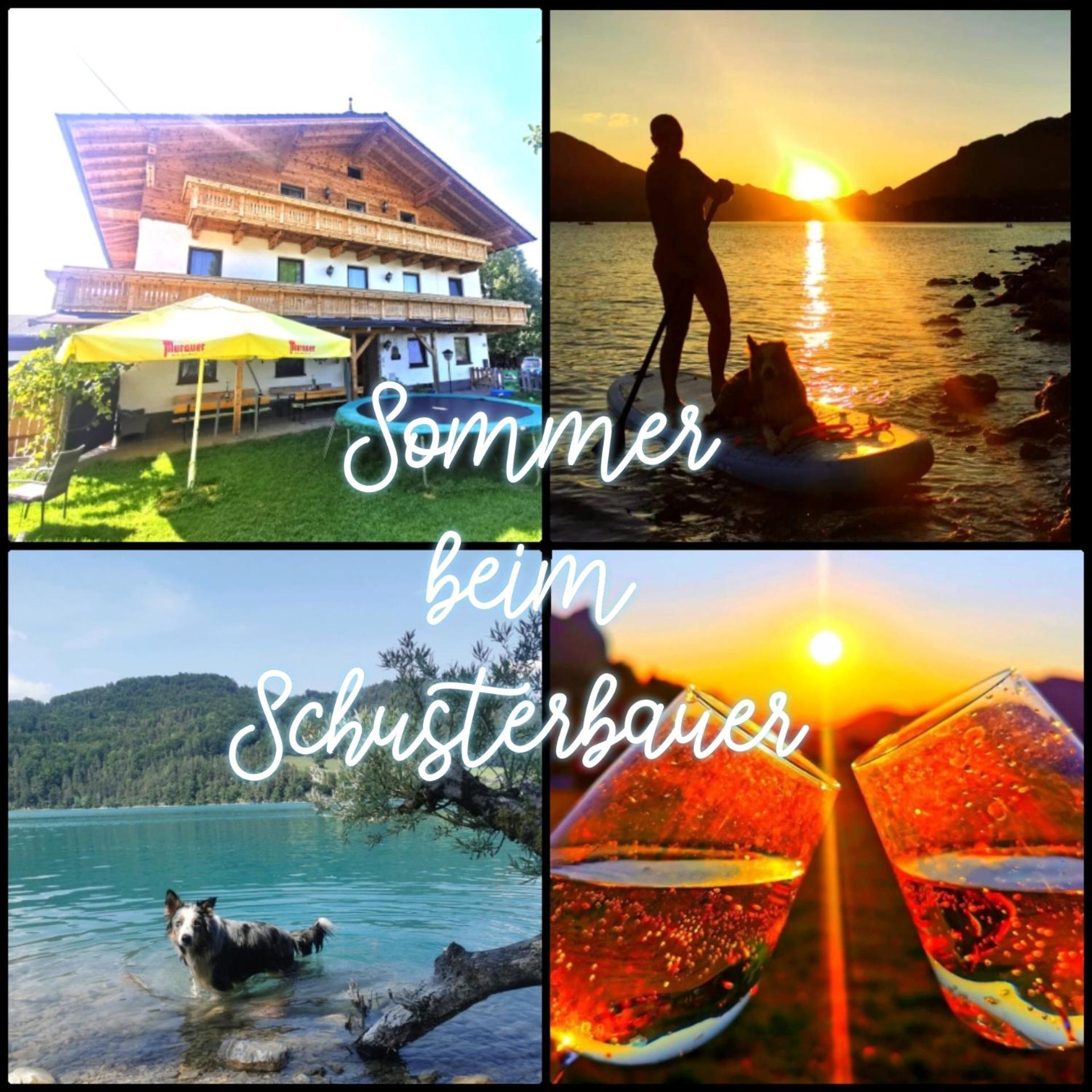 Schusterbauer Villa Koppl Екстериор снимка