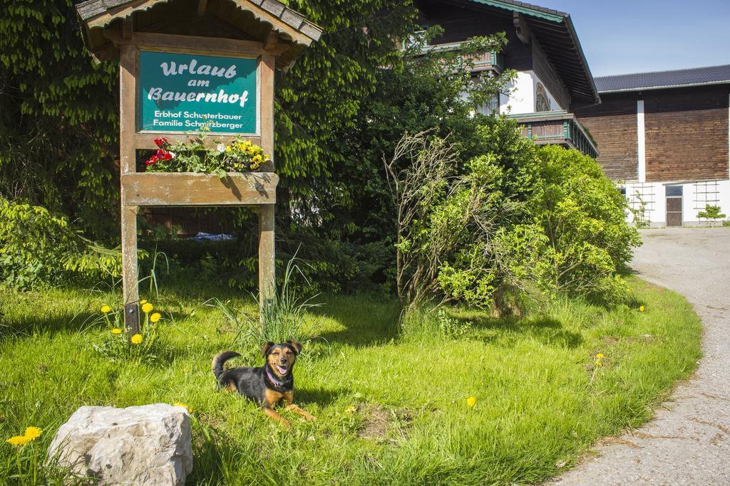 Schusterbauer Villa Koppl Екстериор снимка